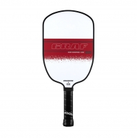 nabir-dlya-gri-v-piklbol-joola-agassi-graf-champion-2-raketki-3-m-yachi-ryukzak-300663-fotofox.com.ua-3.jpg