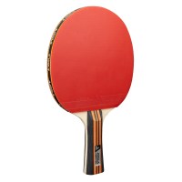 nabir-dlya-nastilnogo-tenisu-joola-family-advanced-4-bats-6-balls-54823-fotofox.com.ua-2.jpg