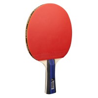nabir-dlya-nastilnogo-tenisu-joola-family-advanced-4-bats-6-balls-54823-fotofox.com.ua-3.jpg