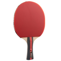 nabir-dlya-nastilnogo-tenisu-joola-rosskopf-2-bats-3-balls-54805-fotofox.com.ua-2.jpg