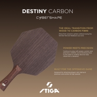 osnova-dlya-raketki-stiga-destiny-carbon-cybershape-master-1600-2602-35-fotofox.com.ua-5.jpg