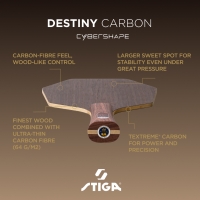 osnova-dlya-raketki-stiga-destiny-carbon-cybershape-master-1600-2602-35-fotofox.com.ua-6.jpg