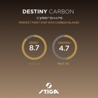 osnova-dlya-raketki-stiga-destiny-carbon-cybershape-master-1600-2602-35-fotofox.com.ua-7.jpg