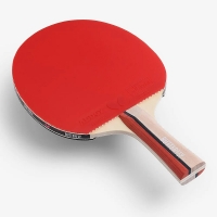 raketka-dlya-nastilnogo-tenisu-butterfly-hero-racket-s1-timo-boll-6251710002-fotofox.com.ua-3.jpg
