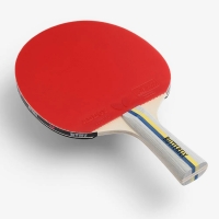 raketka-dlya-nastilnogo-tenisu-butterfly-hero-racket-s4-kristian-karlsson-6251740002-fotofox.com.ua-2.jpg