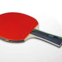 raketka-dlya-nastilnogo-tenisu-gewo-rave-game-fl-860200001-fotofox.com.ua-3.jpg