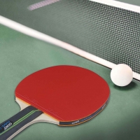 raketka-dlya-nastilnogo-tenisu-gewo-rave-game-fl-860200001-fotofox.com.ua-4.jpg