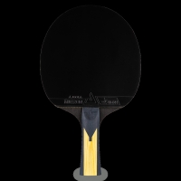 raketka-dlya-nastilnogo-tenisu-joola-carbon-pro-54195-fotofox.com.ua-2.jpg
