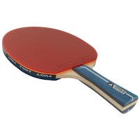 raketka-dlya-nastilnogo-tenisu-joola-team-premium-52002-fotofox.com.ua-6.jpg