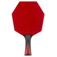 raketka-dlya-nastilnogo-tenisu-stiga-carbon-advance-cybershape-fl-1215-1101-35-fotofox.com.ua-2.jpg