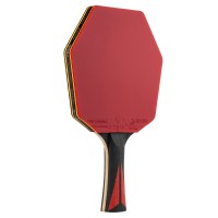 raketka-dlya-nastilnogo-tenisu-stiga-carbon-advance-cybershape-fl-1215-1101-35-fotofox.com.ua-6.jpg