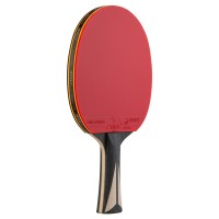 raketka-dlya-nastilnogo-tenisu-stiga-carbon-advance-fl-1215-1001-35-fotofox.com.ua-5.jpg