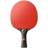 raketka-dlya-nastilnogo-tenisu-stiga-royal-carbon-5-star-fl-1215-2818-01-fotofox.com.ua-3.jpg