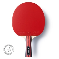 raketka-dlya-nastilnogo-tenisu-team-butterfly-champion-fl-6256800002-fotofox.com.ua-1.jpg