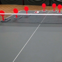 trenuvalnij-nabir-dlya-nastilnogo-tenisu-gewo-flip-paddle-set-109180000-fotofox.com.ua-6.jpg