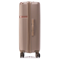 valiza-semi-line-24-m-champagne-t5668-3-fotofox.com.ua-5.jpg