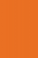 fon-savage-widetone-orange-2-18-x-11-m-fotofox.com.ua-3.jpg