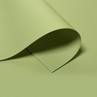fon-vinilovyj-mircopro-olivkovyj-150-200cm-fotofox.com.ua-2.jpg