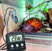 termogigrometr-tsifrovoj-tfa-terracheck-2-vneshnikh-provodnykh-datchika-64kh24kh64-mm-fotofox.com.ua-2.jpg