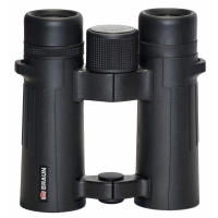 bnokl-braun-compagno-10h34-wp-fotofox.com.ua-1.jpg