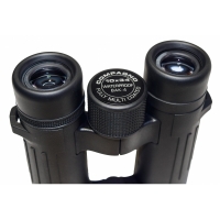 bnokl-braun-compagno-10h34-wp-fotofox.com.ua-3.jpg
