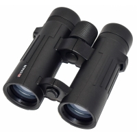 bnokl-braun-compagno-10h42-wp-fotofox.com.ua-2.jpg