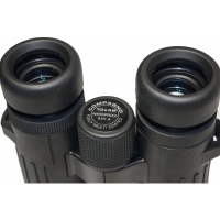 bnokl-braun-compagno-10h42-wp-fotofox.com.ua-3.jpg