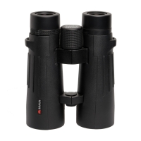 bnokl-braun-compagno-10h50-wp-fotofox.com.ua-1.jpg