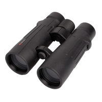bnokl-braun-compagno-10h50-wp-fotofox.com.ua-2.jpg