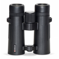 bnokl-braun-compagno-8h42-wp-fotofox.com.ua-1.jpg
