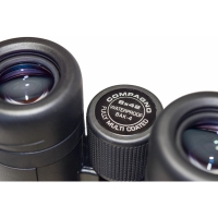 bnokl-braun-compagno-8h42-wp-fotofox.com.ua-3.jpg