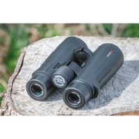 bnokl-braun-compagno-8h50-wp-fotofox.com.ua-5.jpg