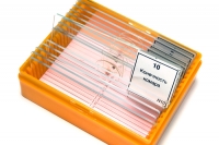 nabor-mikropreparatov-levenhuk-n10-ng-fotofox.com.ua-6.jpg