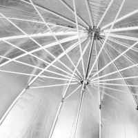 fotozont-visico-au160-a-100sm-silver-black-parabolicheskij-3.jpg