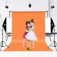 nabor-postoyannogo-sveta-puluz-pu5070-2-led-softbox-kit-6.jpg