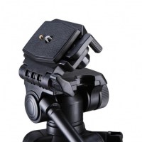 ars-3908-fotofox.com.ua-4