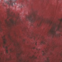 bc-2427-103-fotofox.com.ua