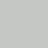 fon-bumazhnyj-visico-p-21-light-grey-2-75-x-10-0-m-fotofox.com.ua