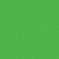 fon-bumazhnyj-visico-p-54-chroma-green-1-35-x-10-0-m-fotofox.com.ua