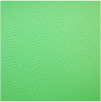 fon-vinilovyj-zelenyj-plastik-2-75kh6-0m-500g-fotofox.com.ua
