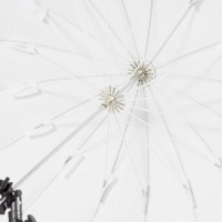 fotozont-visico-au160-s-180sm-silver-black-parabolicheskij-fotofox.com.ua-3