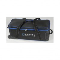 integra-plus-kit-basic-integra-plus-250fm-1-500fm-1-zont-1-zont-reflektor-2-stojki-2-sumka-fotofox.com.ua-8