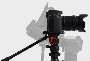 muf-fotofox.com.ua-4