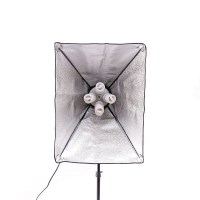 nabor-postoyannogo-sveta-visico-fl-306-50x70sm-double-kit-fotofox.com.ua-3