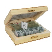 Набор микропрепаратов SIGETA Анатомия (25 шт.)