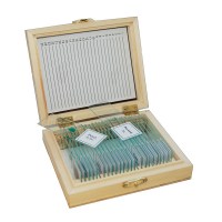 Набор микропрепаратов SIGETA Разное 1 (25 шт.)