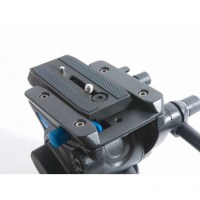 video-golova-s4-fotofox.com.ua-4